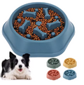 SlowBowl Pro — The Vet-Recommended Slow Feeder That Actually Works